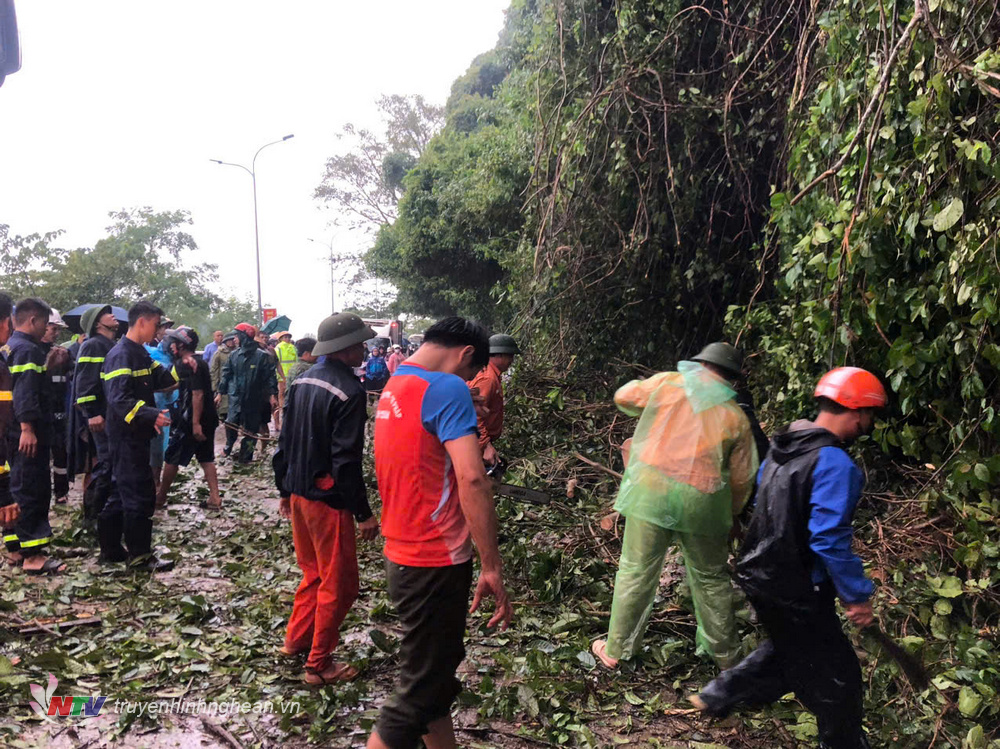 khối luong cây cối và đá rơi đã được lực lượng công an, quân đội kịp thời xử lý.