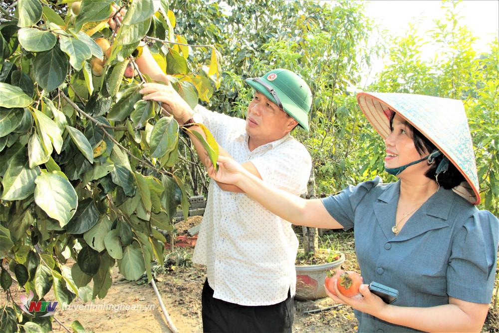 Đoàn kiểm tra mô hình trồng Hồng không hạt của gia đình bà Trần Thị Liên ở thôn Đồng Thượng, xã Thanh Lĩnh.