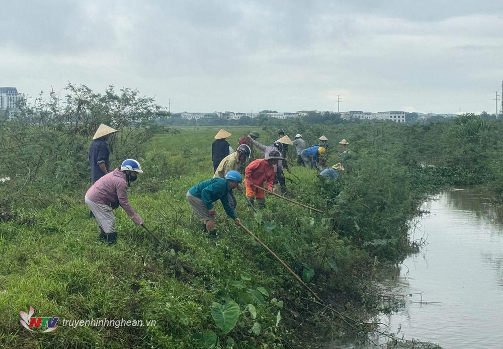 Mặc dù thời tiết không thuận lợi, nhưng nhân dân vẫn hăng say lao động.