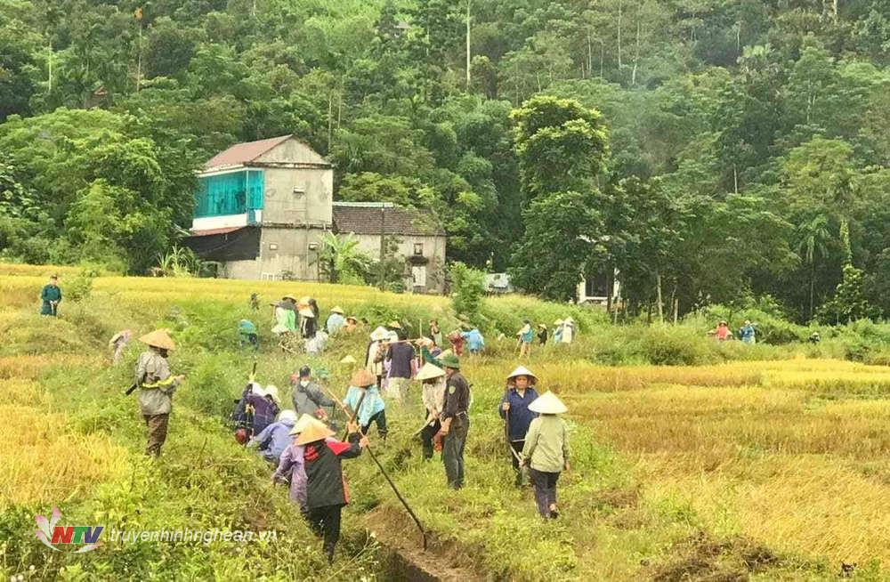 Các lực lượng ra quân sau lễ phát động.