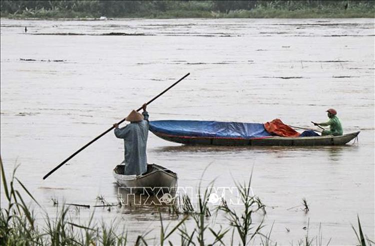Đỉnh lũ trên các sông từ Bình Định đến Ninh Thuận có thể lên báo động 2 và 3. 