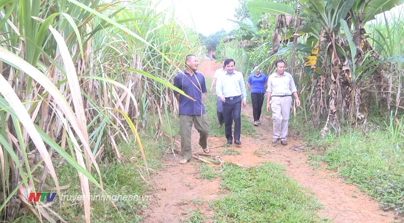 Phó Chủ tịch HĐND tỉnh Nguyễn Như Khôi đi thăm một số mô hình kinh tế trên địa bàn.