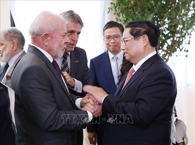 Thủ tướng Phạm Minh Chính hội kiến Tổng thống Brazil Luiz Inácio Lula da Silva. Ảnh: Dương Giang/TTXVN