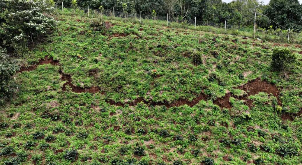 Vết lún nứt trên quả đồi rộng nhiều hecta, kéo dài 700 m và phía dưới có hàng chục hộ dân sinh sống.