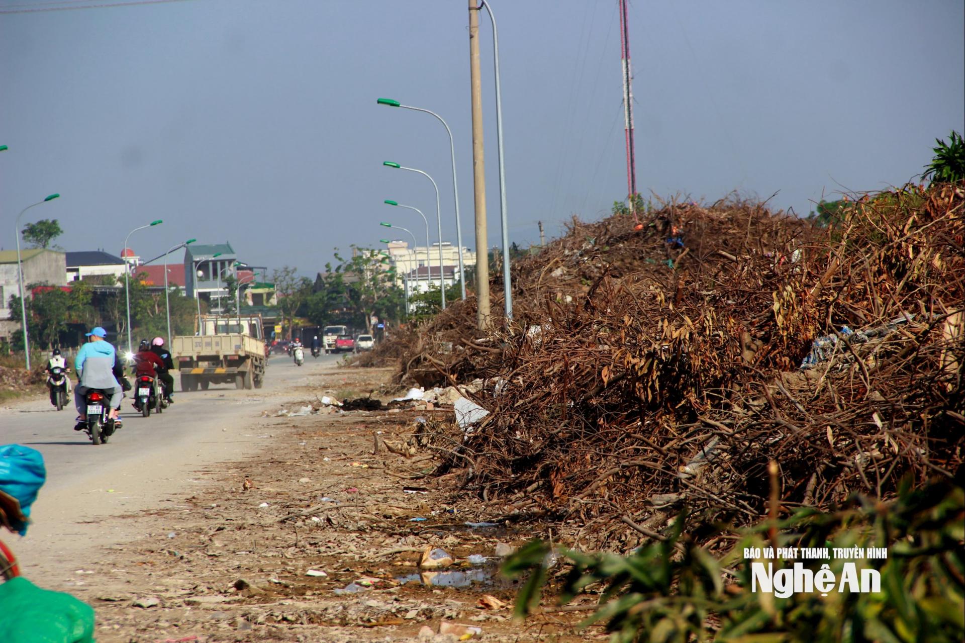 Khối lượng rác khổng lồ trên tuyến đường D3. Ảnh: Q.A