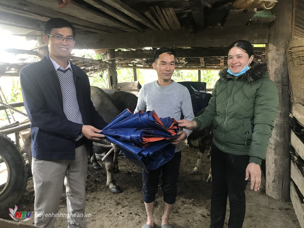 Ông Phạm Văn Hòa - Chủ tịch Hội Nông dân huyện Quỳ Châu trao tặng “áo ấm” trâu, bò may bằng bạt cho hội viên tại xã Diên Lãm.