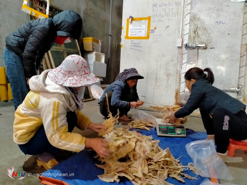 Các hộ kinh doanh ở Quỳnh Lưu phân loại, đóng gói mực khô cất trữ phục vụ thị trường Tết.