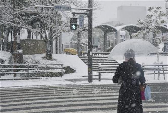 Tuyết rơi dày đặc tại Tokushima, Nhật Bản, ngày 23/12/2022.