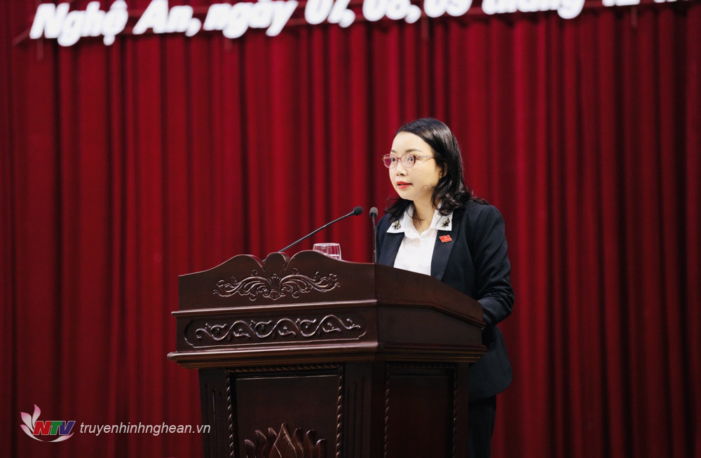 Bà Nguyễn Thị Thơm, Bí thư Huyện uỷ, Chủ tịch HĐND huyện Hưng Nguyên, Tổ trưởng Tổ thảo luận số 1 trình bày báo cáo tổng hợp.