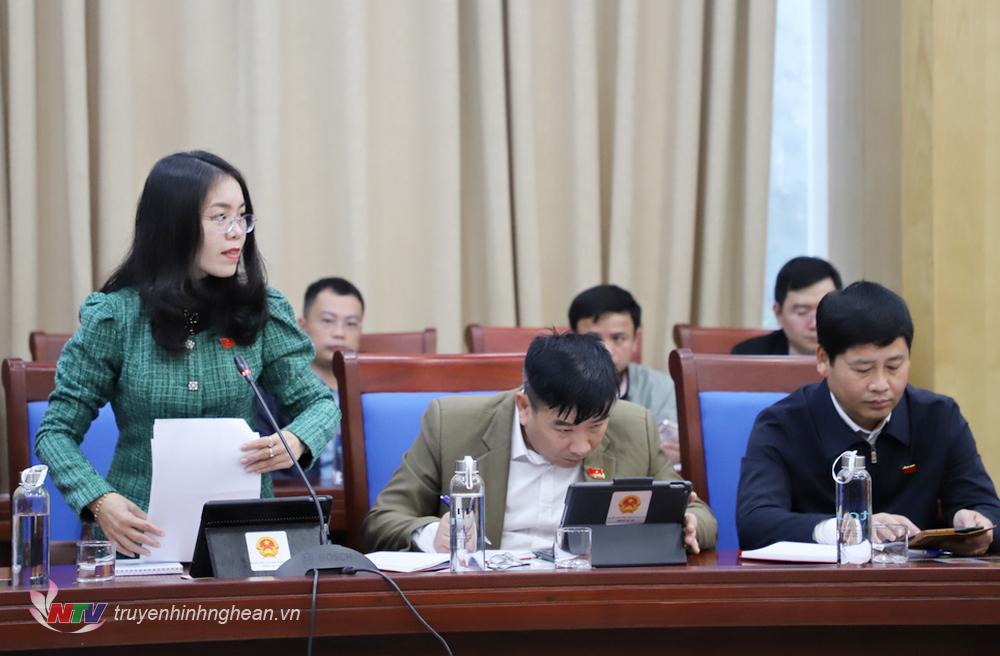Bà Nguyễn Thị Anh Hoa - Đại biểu HĐND tỉnh bầu tại huyện Diễn Châu nêu ý kiến, kiến nghị.