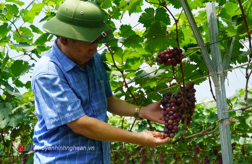 Đến với hồ Xuân Dương, du khách có thể tham quan các trang trại cây ăn quả của người dân địa phương.