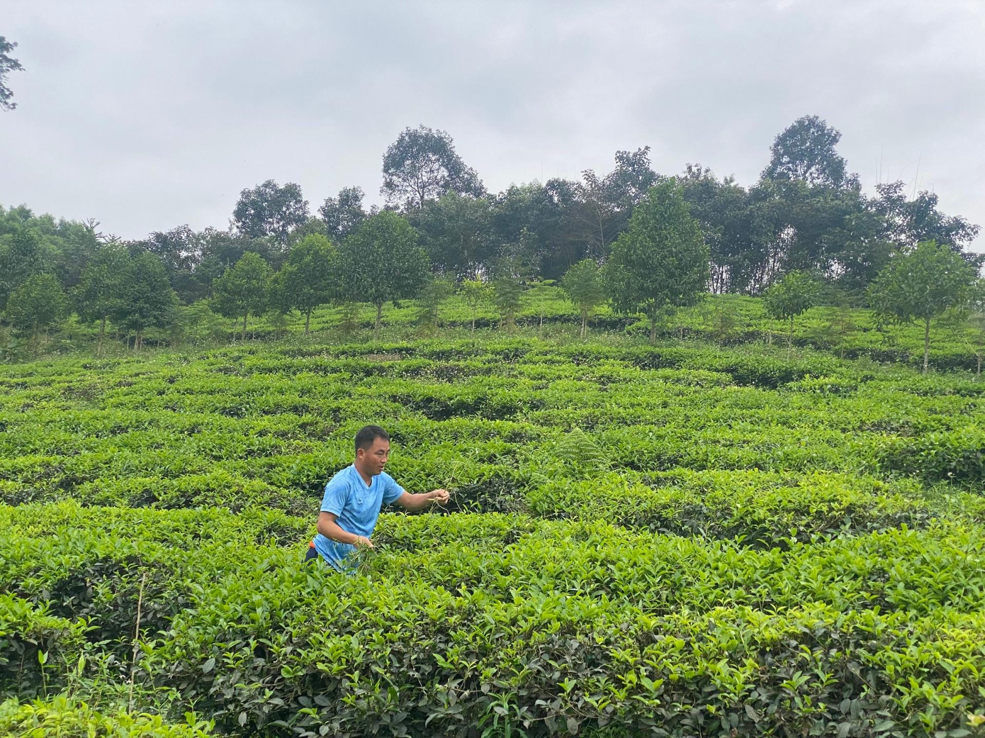 Từ năm 2026, người dân chỉ phải nộp 30-50% phần chênh lệch khi chuyển đất nông nghiệp, đất vườn, ao sang đất ở. Ảnh: Thu Huyền