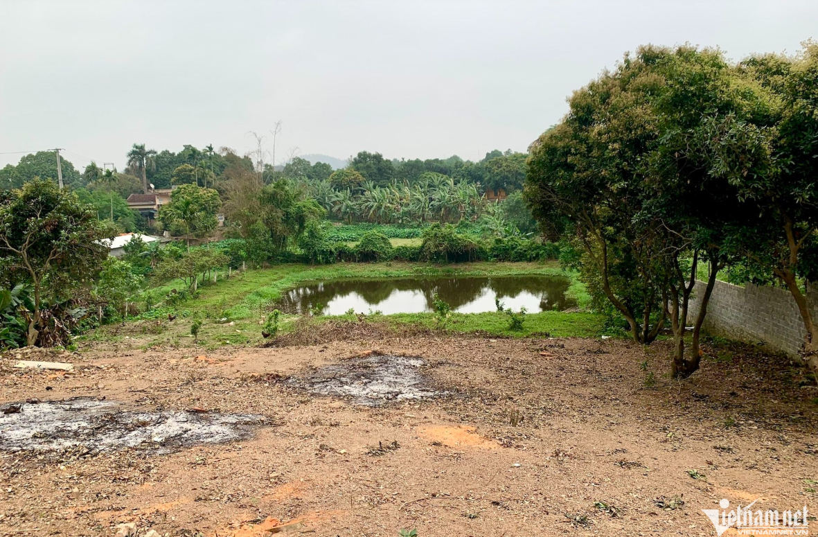 Từ năm 2026, người dân chỉ phải nộp 30-50% phần chênh lệch khi chuyển đất nông nghiệp, đất vườn, ao sang đất ở. Ảnh: Hồng Khanh