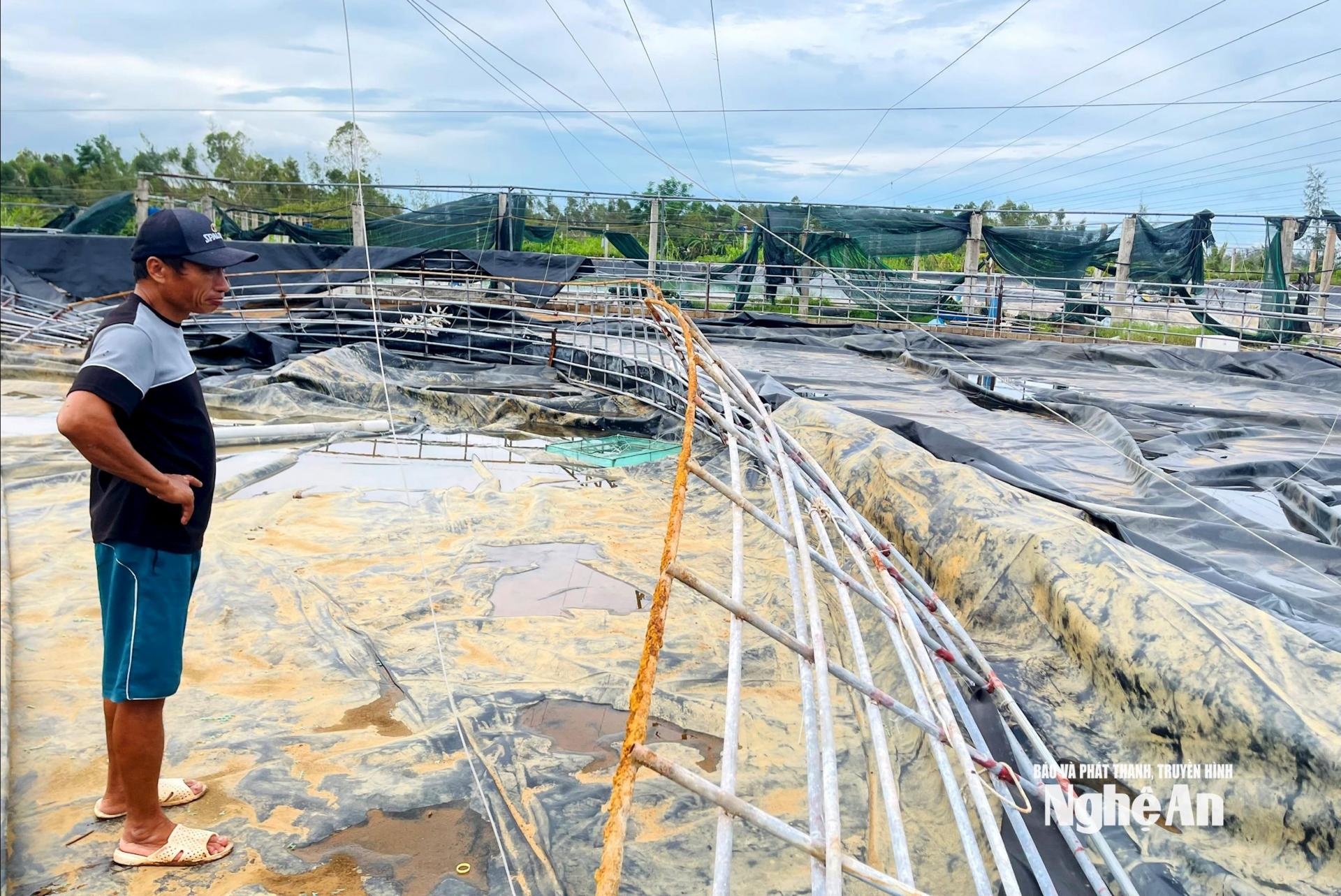 Nhiều hộ nuôi tôm trên địa bàn tỉnh bị thiệt hại do mưa bão năm 2025. Ảnh: Q.A
