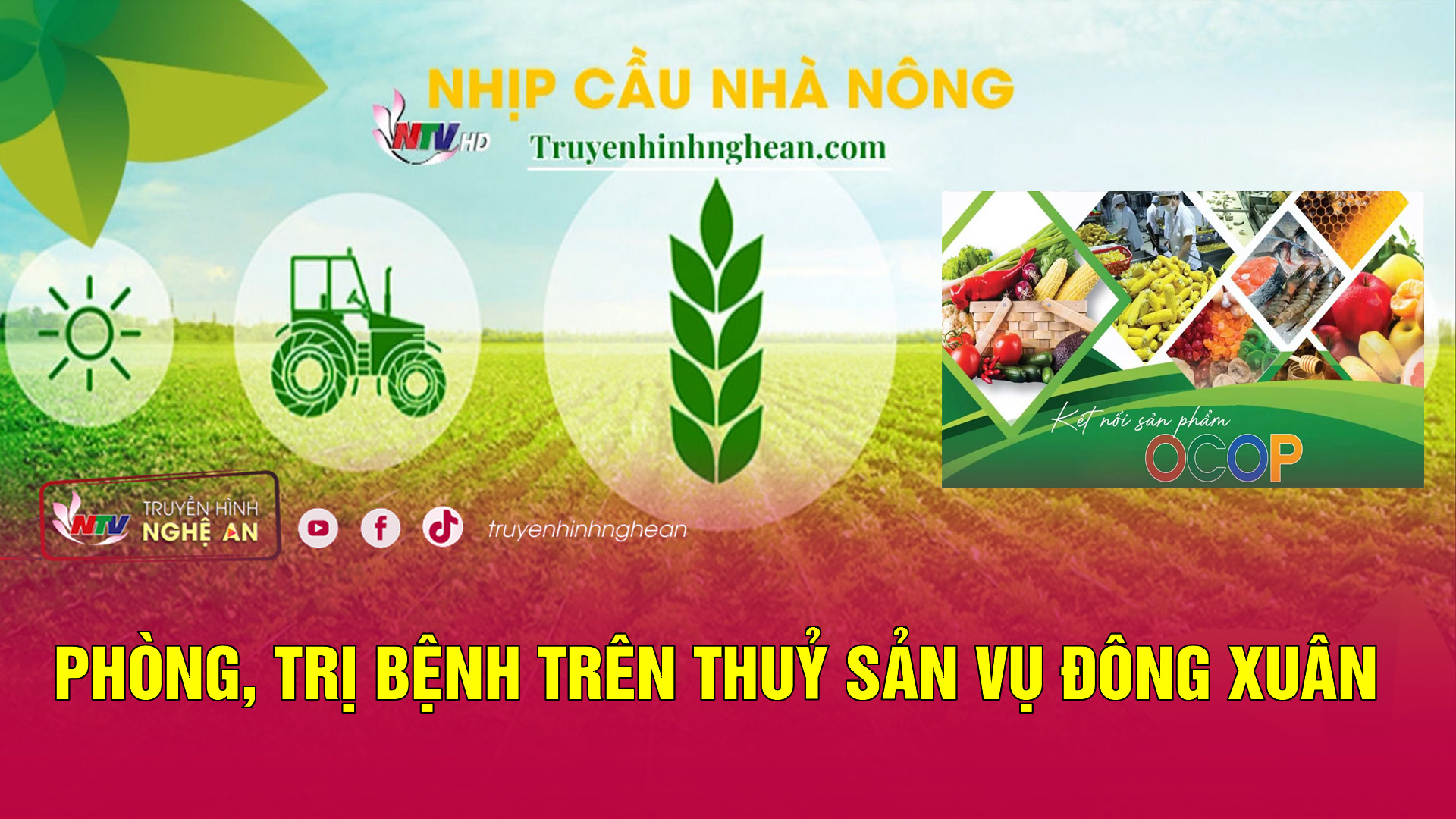 Nhịp cầu nhà nông: Phòng, trị bệnh trên thuỷ sản vụ Đông Xuân