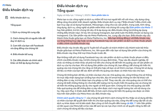 Meta chỉ gợi ý nếu người dùng không chấp nhận điều khoản vui lòng không truy cập hoặc sử dụng trái với việc ép người dùng bị xoá tài khoản như Zalo.