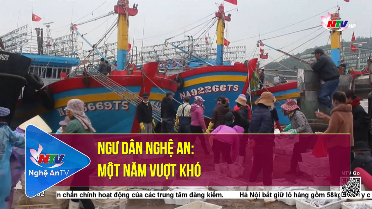 Ngư dân Nghệ An: Một năm vượt khó