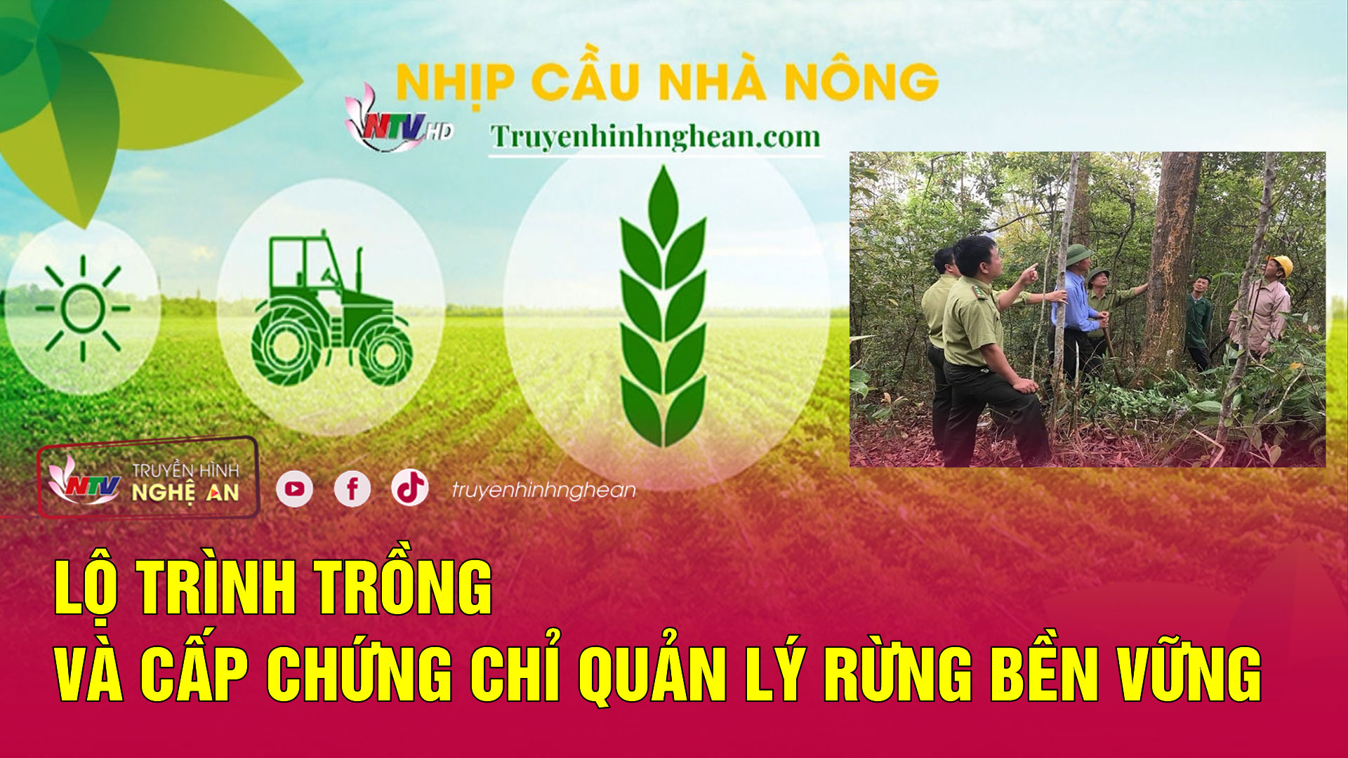 Nhịp cầu nhà nông: Lộ trình trồng và cấp chứng chỉ quản lý rừng bền vững