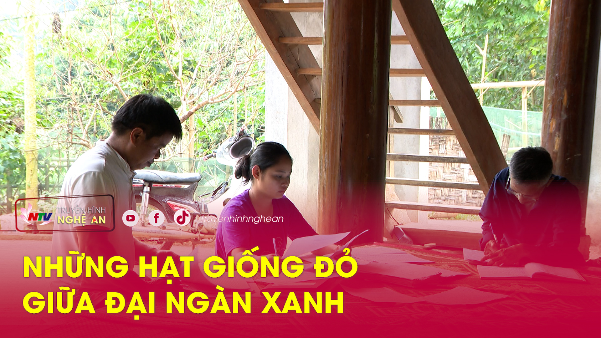 Những hạt giống đỏ giữa đại ngàn xanh