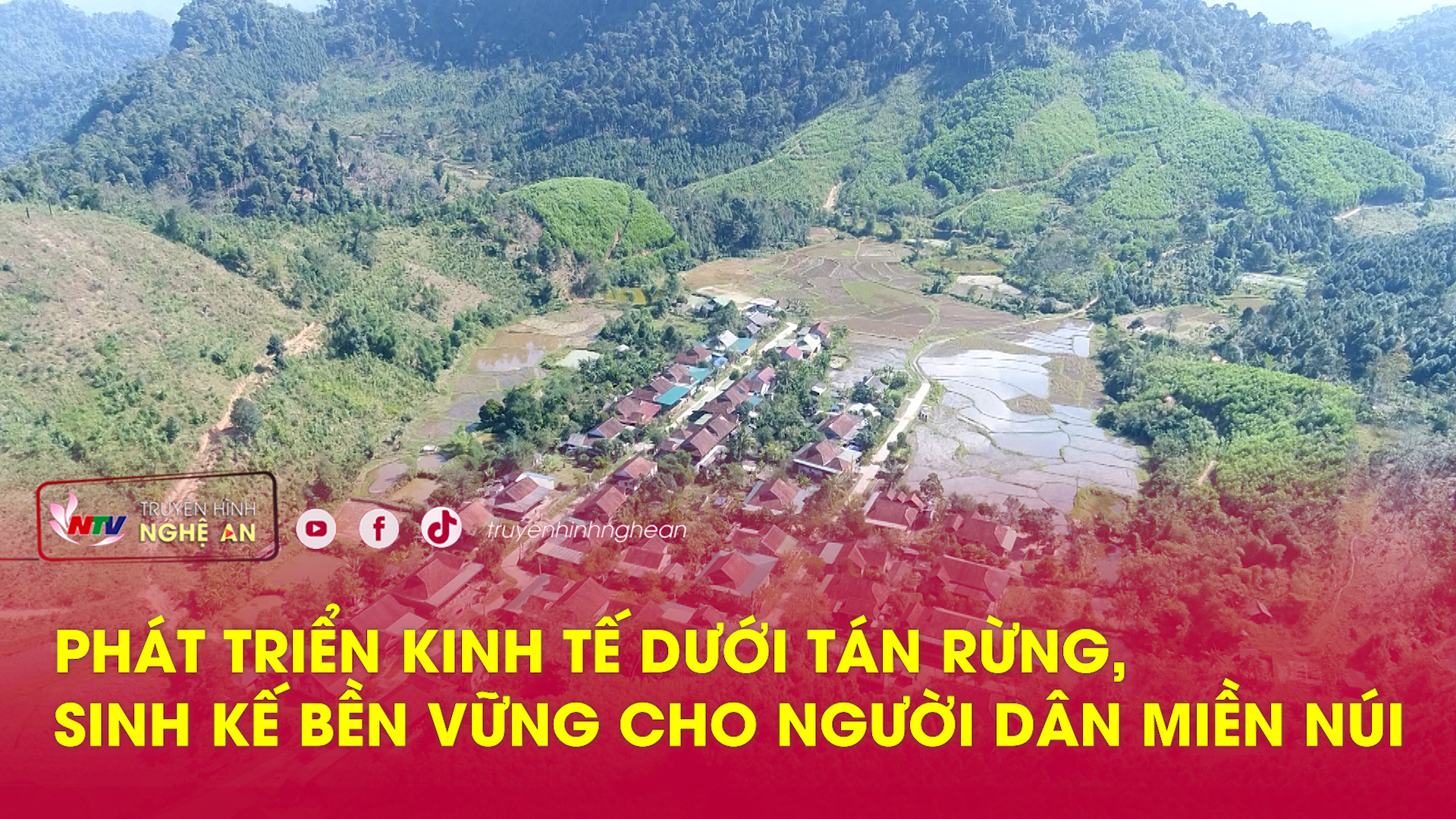 Phát triển kinh tế dưới tán rừng, sinh kế bền vững cho người dân miền núi