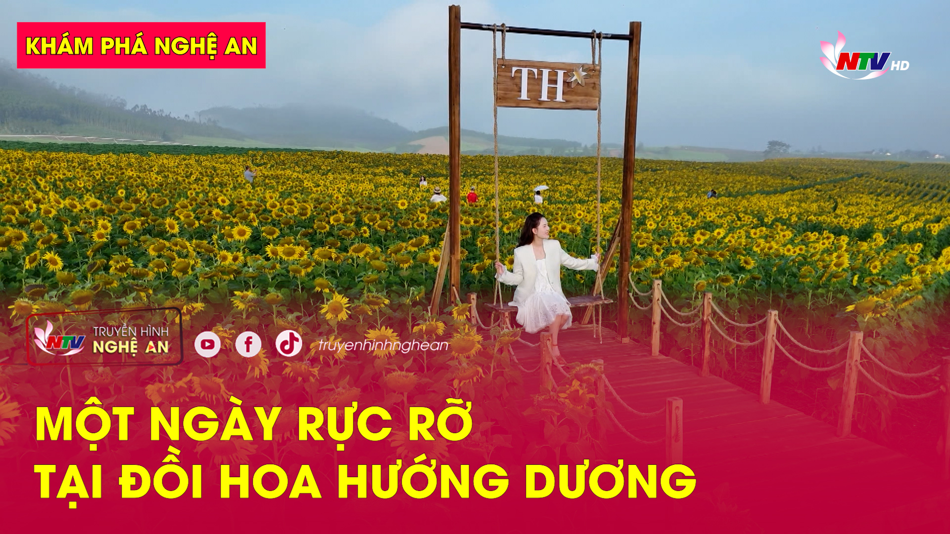 Khám phá Nghệ An: Một ngày rực rỡ tại đồi hoa hướng dương