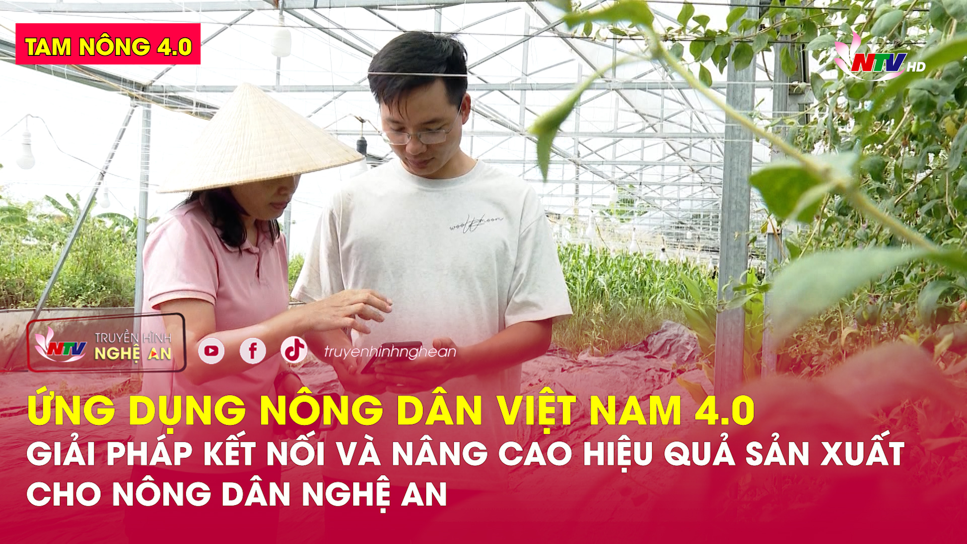 Ứng dụng Nông dân Việt Nam 4.0 - Giải pháp kết nối và nâng cao hiệu quả sản xuất cho nông dân Nghệ An