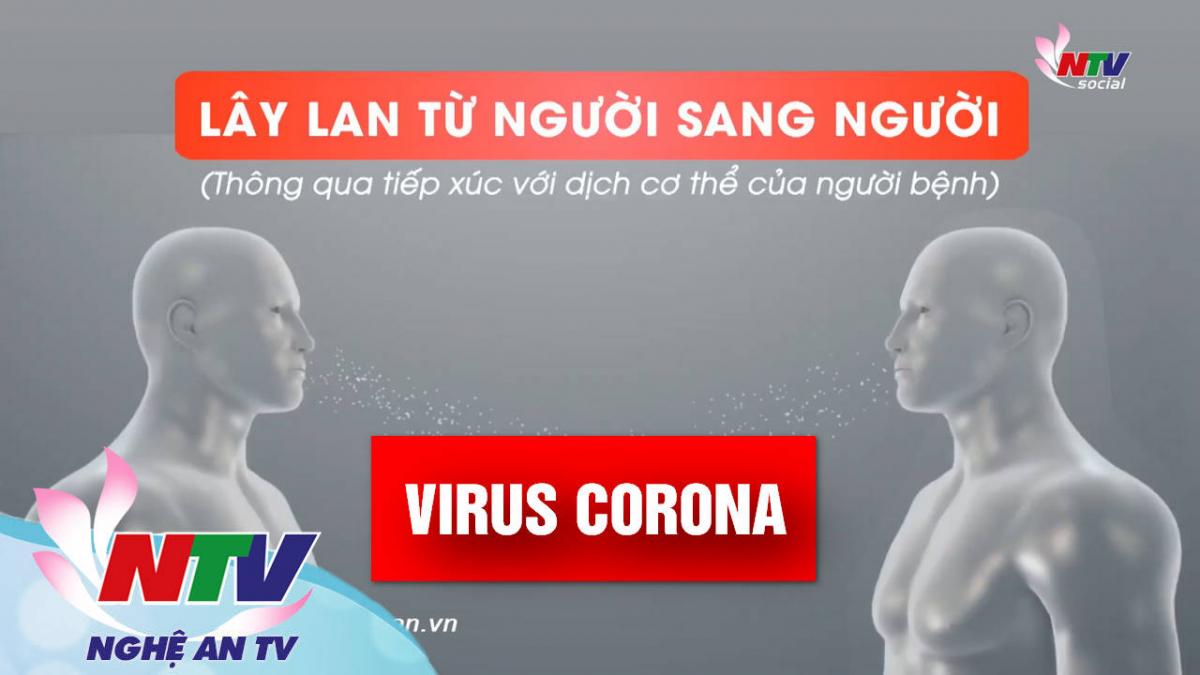 Cơ chế lây nhiễm của virus Corona