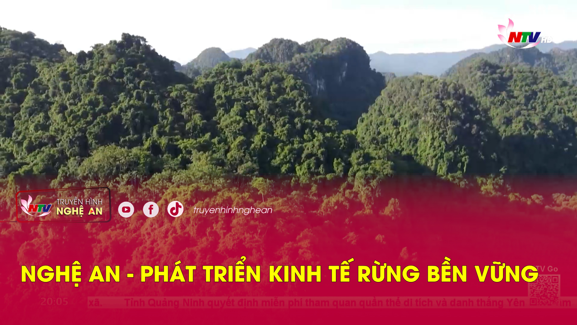 Nghệ An - Phát triển kinh tế rừng bền vững
