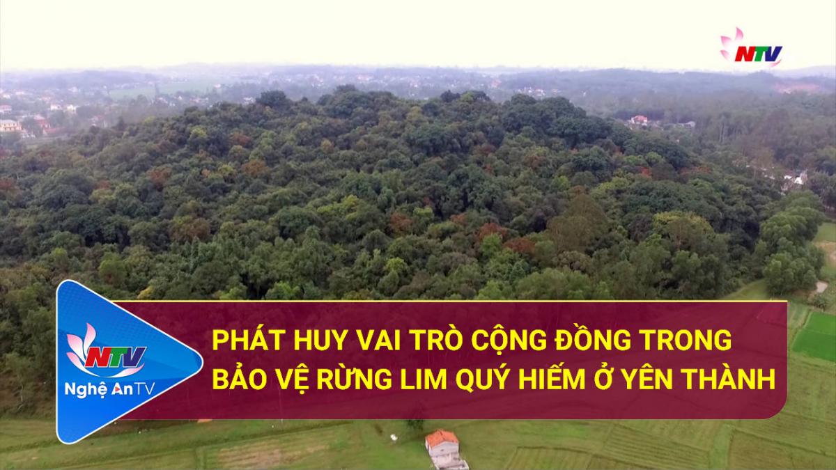 Phát huy vai trò cộng đồng trong bảo vệ rừng Lim quý hiếm ở Yên Thành