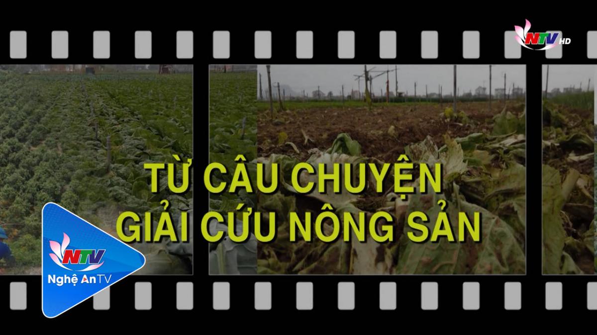 Khách mời NTV: Từ câu chuyện giải cứu nông sản