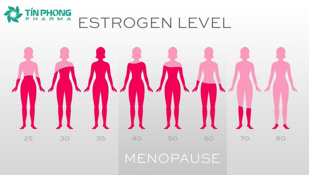 Suy giảm nội tiết tố nữ Estrogen theo từng độ tuổi