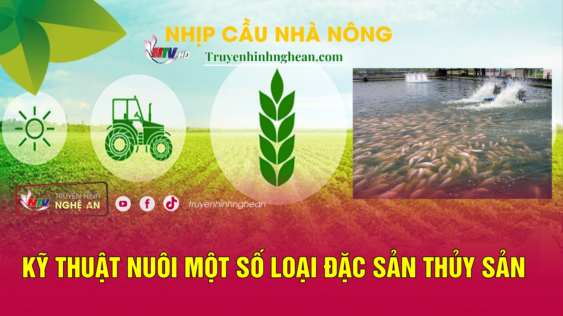Nhịp cầu nhà nông: Kỹ thuật nuôi một số loại đặc sản thủy sản