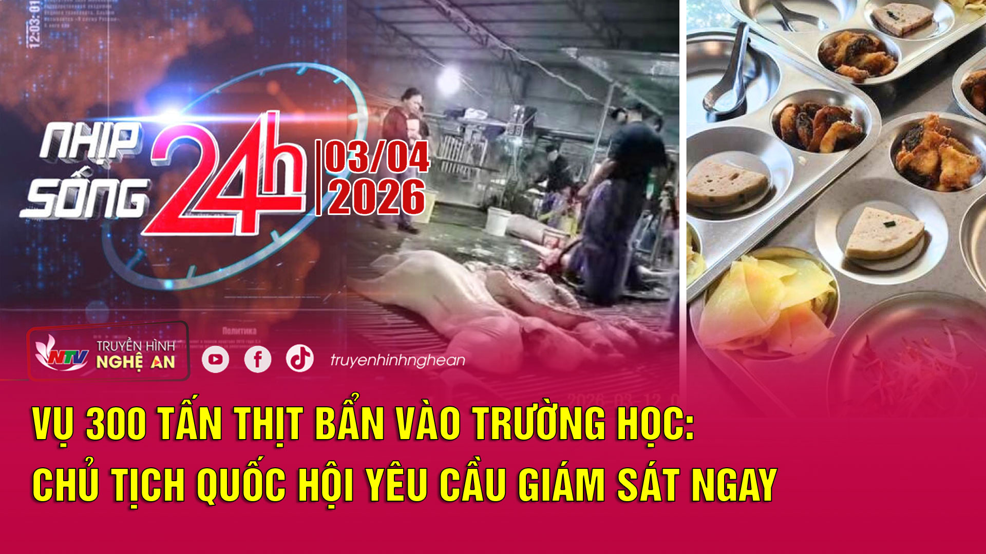 Bản tin Nhịp sống 24h - 02/04/2026