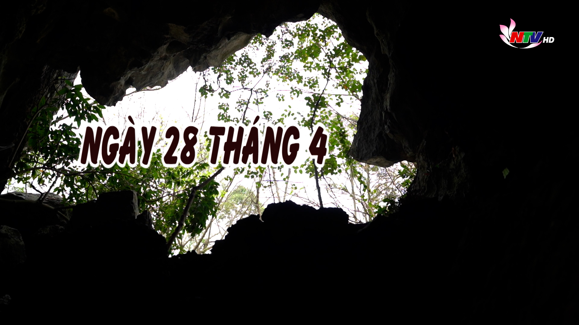 Phim tài liệu: Ngày 28 tháng 4