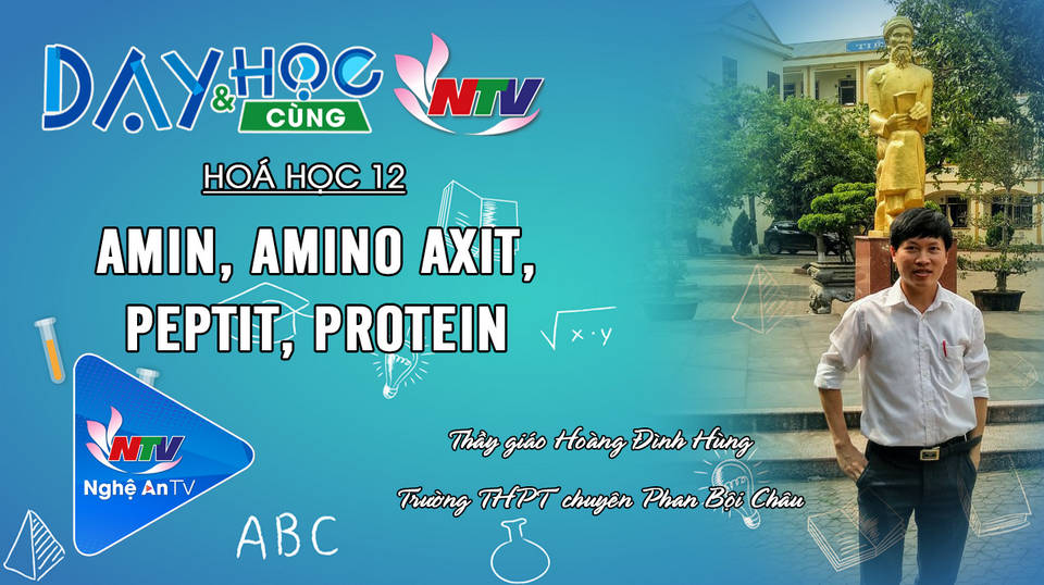 Dạy và học cùng NTV: Hoá học 12 - Amin, Amino axit, Peptit, Protein