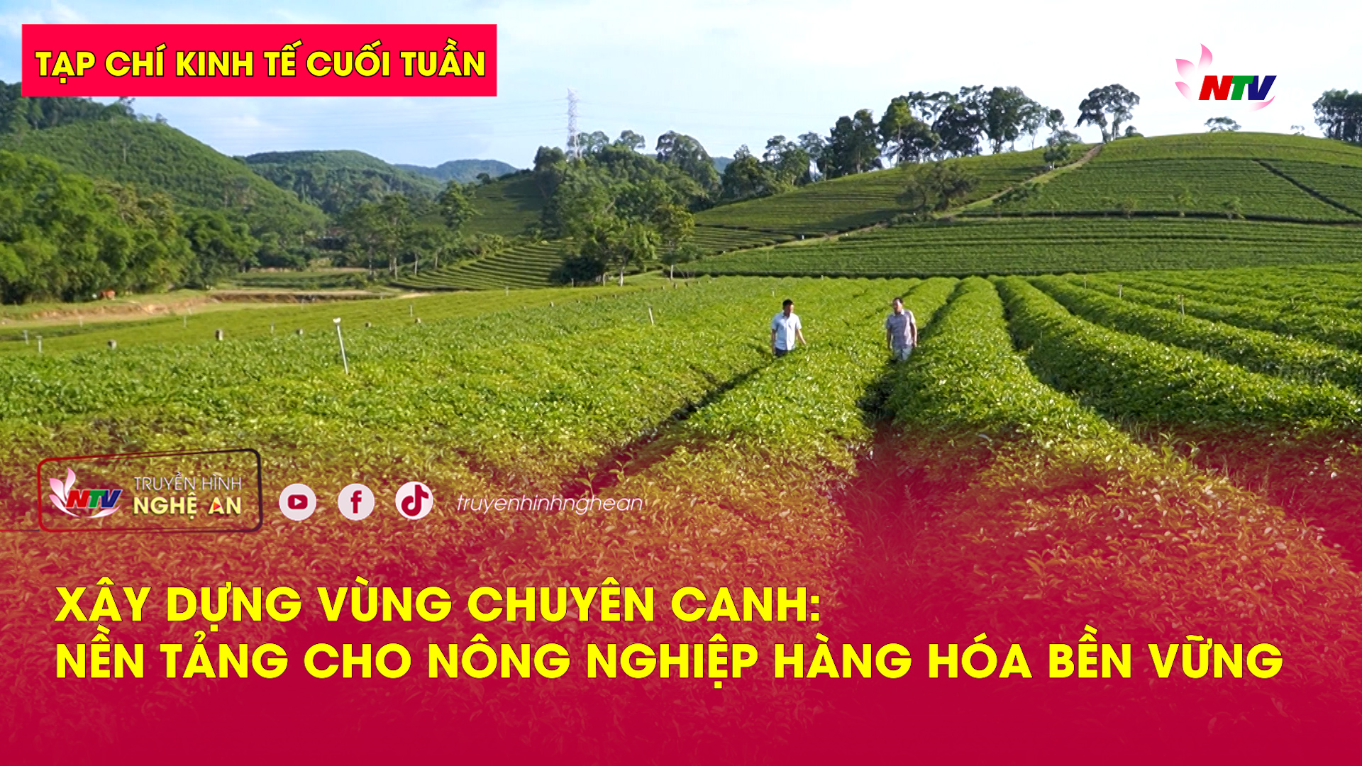Tạp chí kinh tế cuối tuần: Xây dựng vùng chuyên canh - nền tảng cho Nông nghiệp hàng hóa bền vững