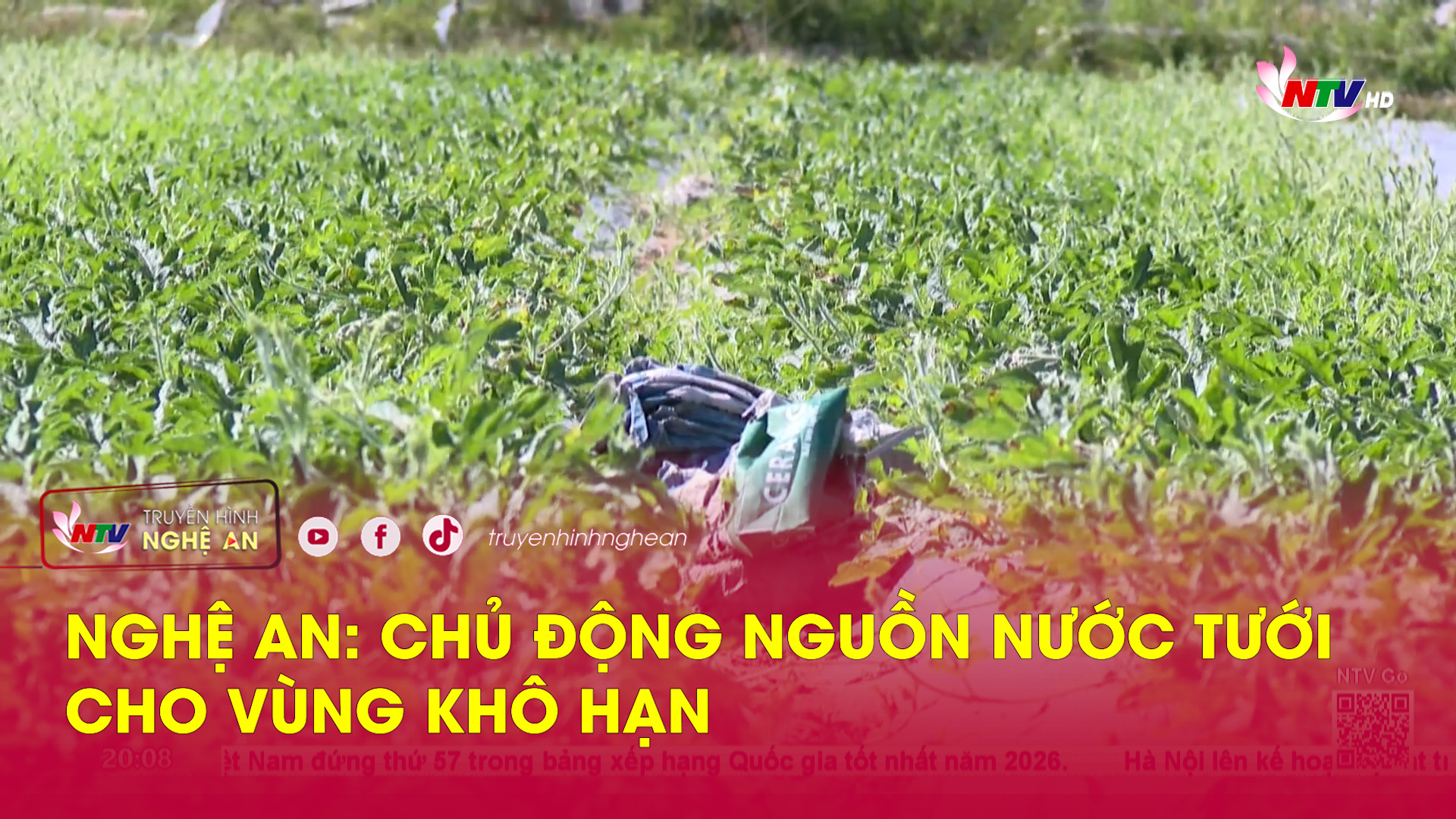 Nghệ An: Chủ động nguồn nước tưới cho vùng khô hạn