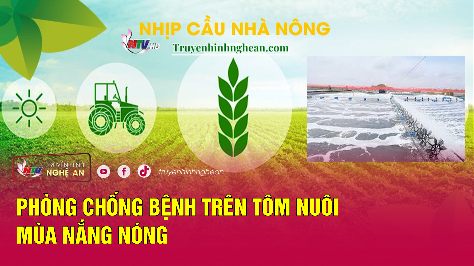 Nhịp cầu nhà nông: Phòng chống bệnh trên tôm nuôi mùa nắng nóng