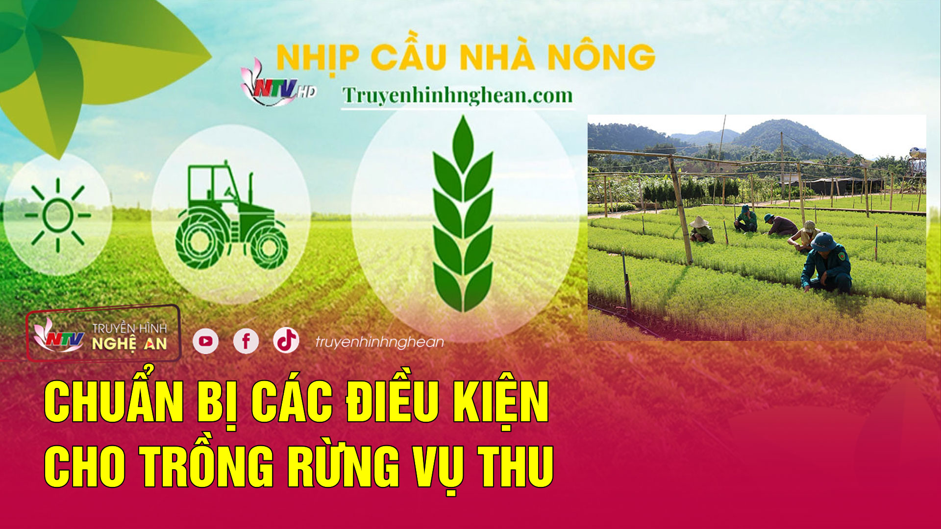 Nhịp cầu nhà nông: Chuẩn bị các điều kiện cho trồng rừng vụ Thu