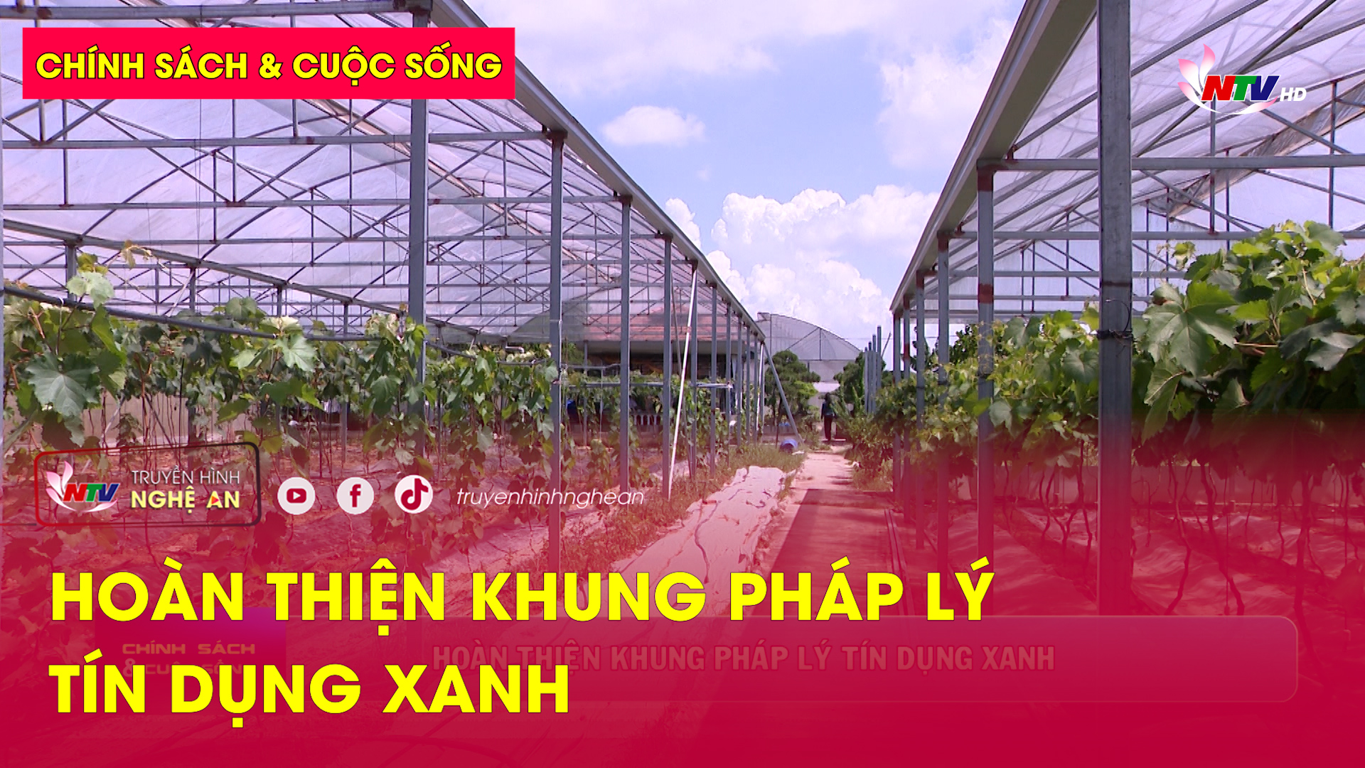 Chính sách & Cuộc sống: Hoàn thiện khung pháp lý tín dụng xanh