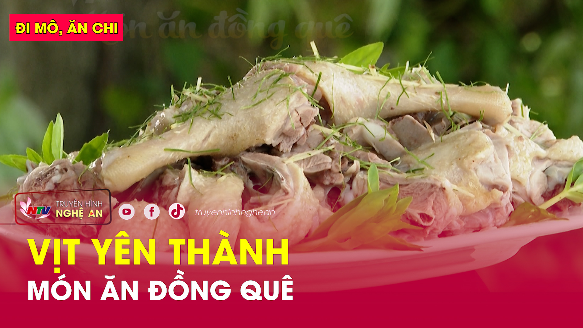 Đi mô, ăn chi: Vịt Yên Thành - Món ăn đồng quê