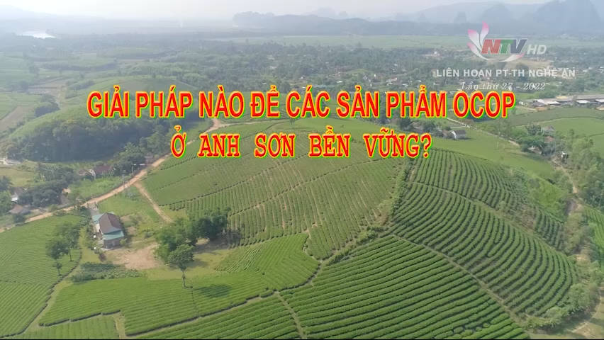 Giải pháp nào để các sản phẩm OCOP ở Anh Sơn bền vững ?