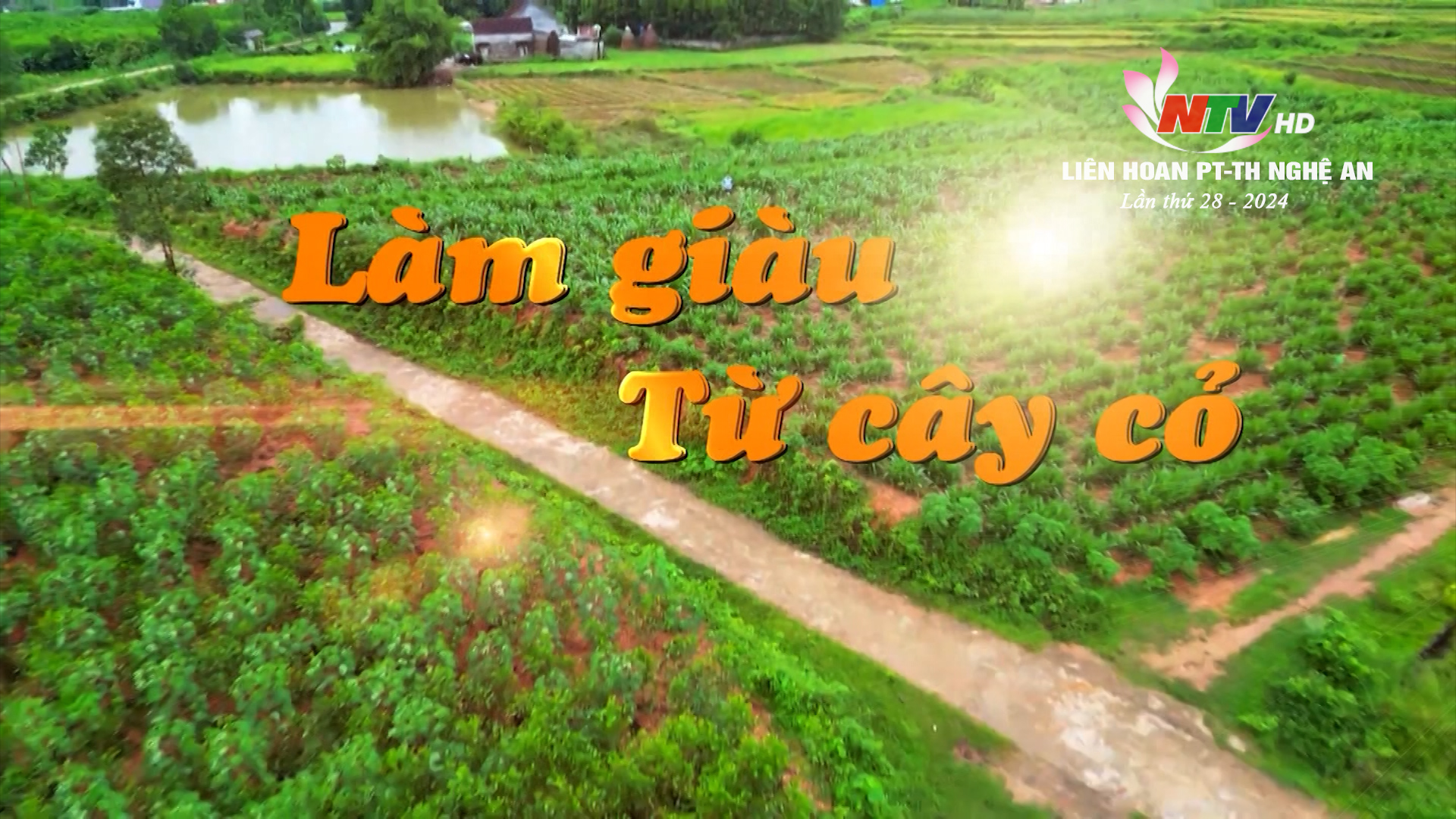 Làm giàu từ cây cỏ