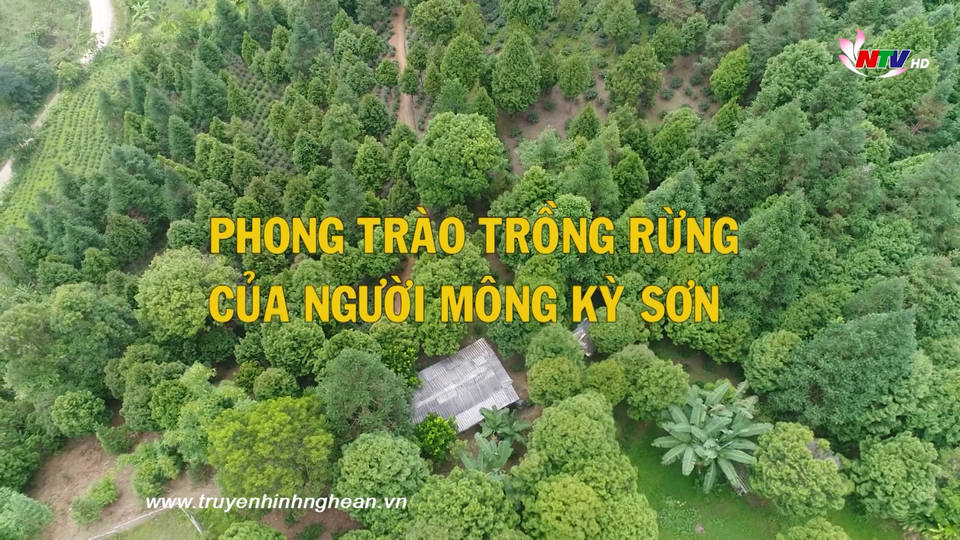 Phong trào trồng rừng của người Mông Kỳ Sơn