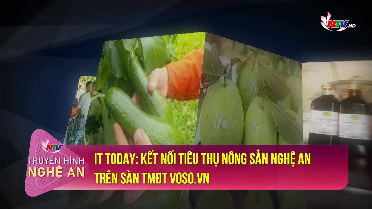 IT Today: Kết nối tiêu thụ nông sản Nghệ An trên sàn TMĐT voso.vn