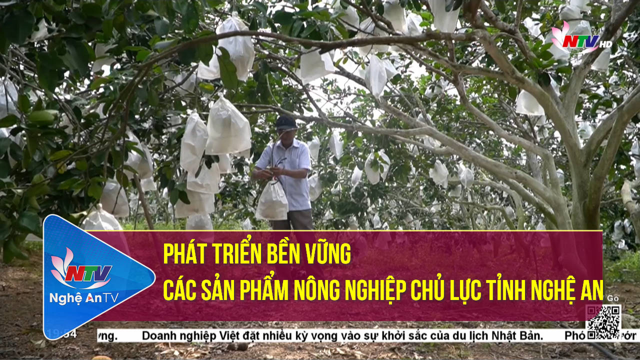 Phát triển bền vững các sản phẩm nông nghiệp chủ lực tỉnh Nghệ An