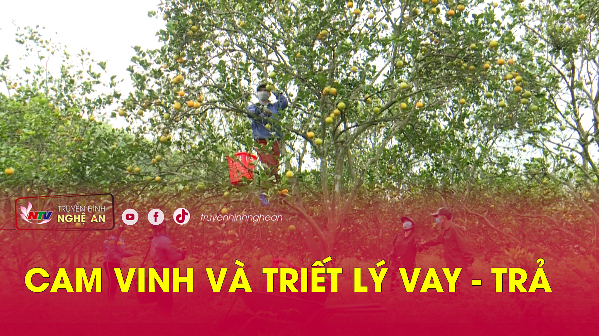 Cam Vinh và triết lý Vay - trả