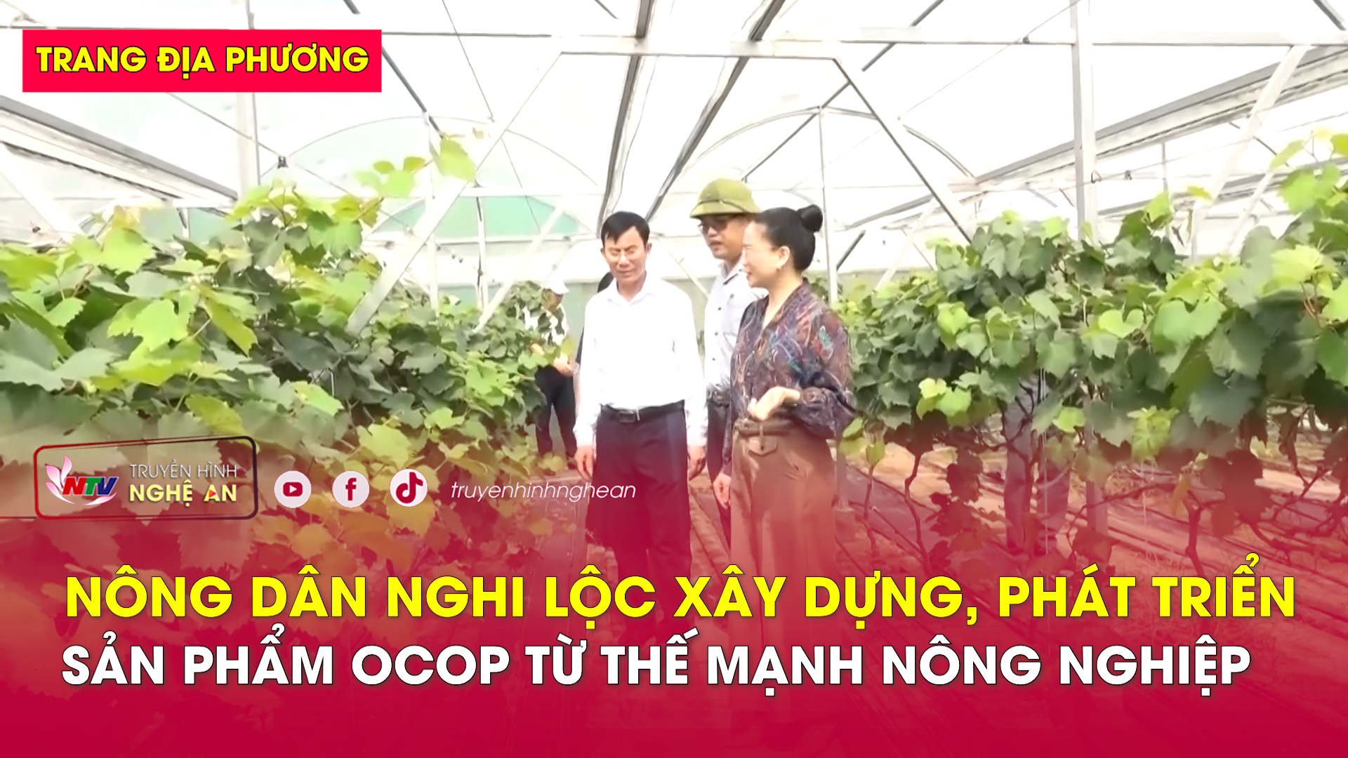 Trang địa phương ngày 23/11/2024