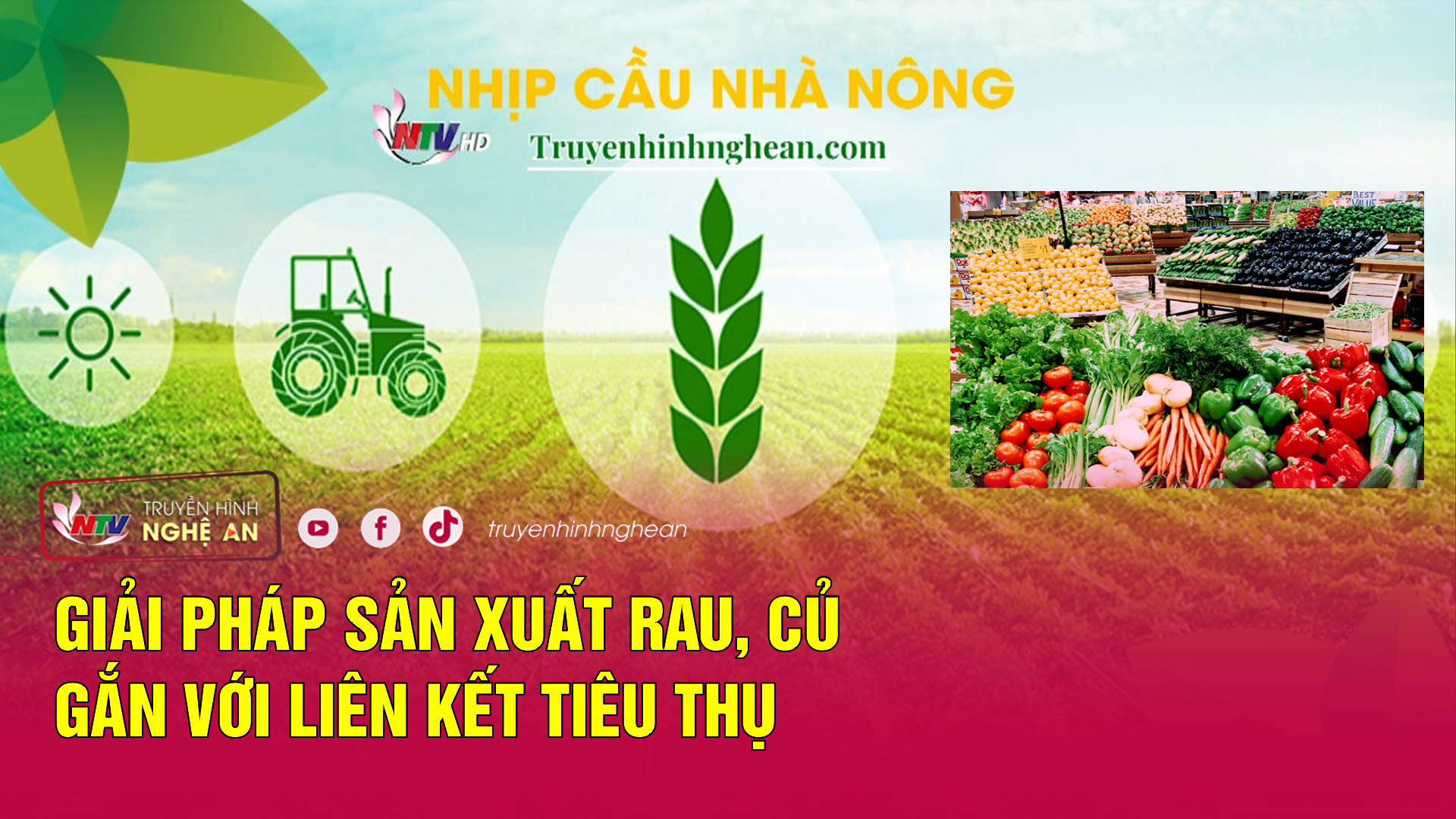 Nhịp cầu nhà nông: Giải pháp sản xuất rau, củ gắn với liên kết tiêu thụ