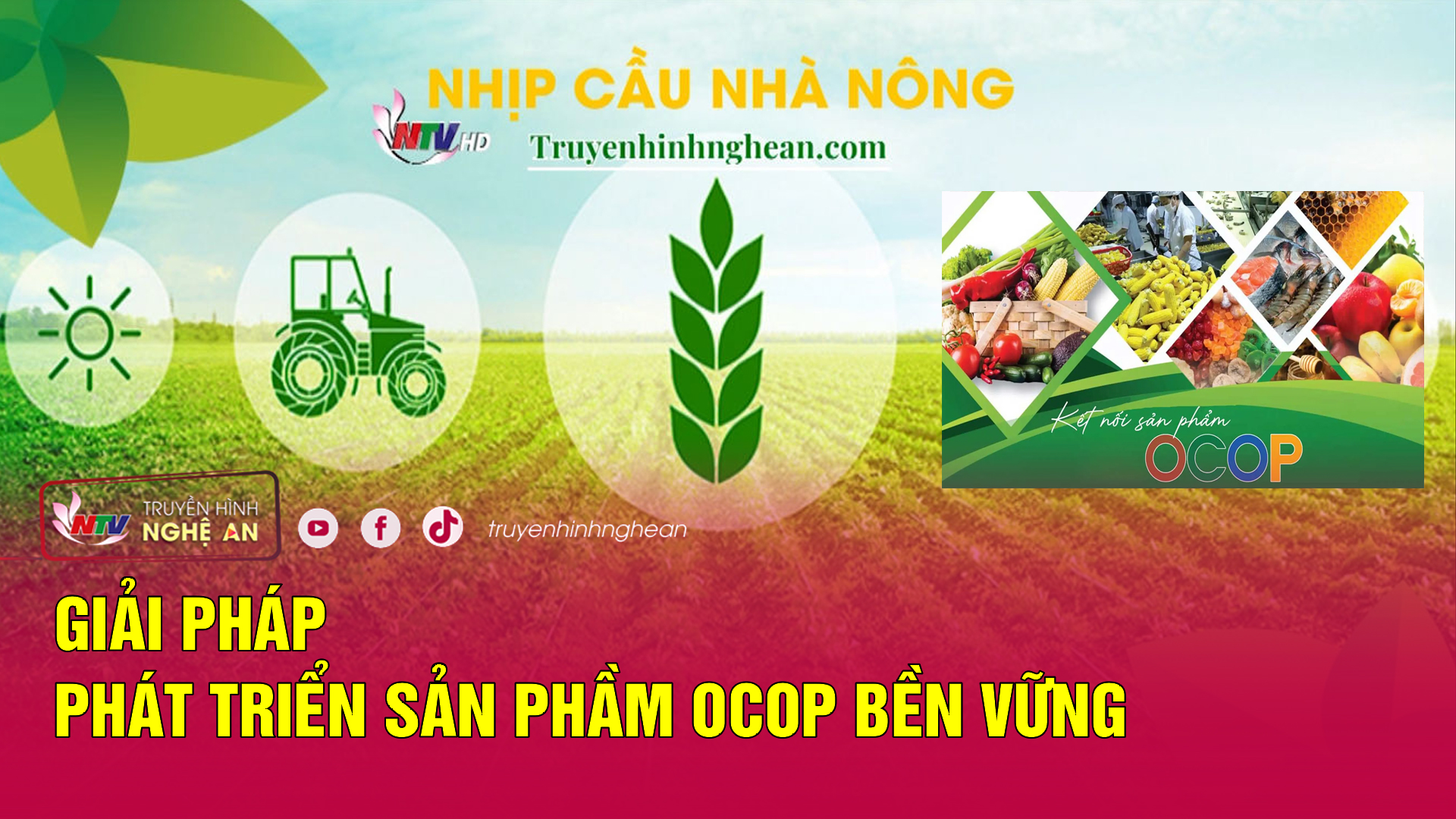 Nhịp cầu nhà nông: Giải pháp phát triển sản phầm OCOP bền vững